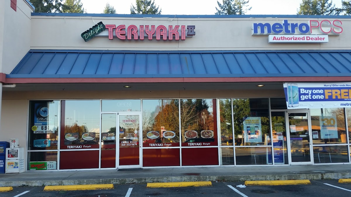Teriyaki Delight-1